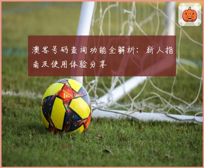 澳客号码查询功能全解析：新人指南及使用体验分享